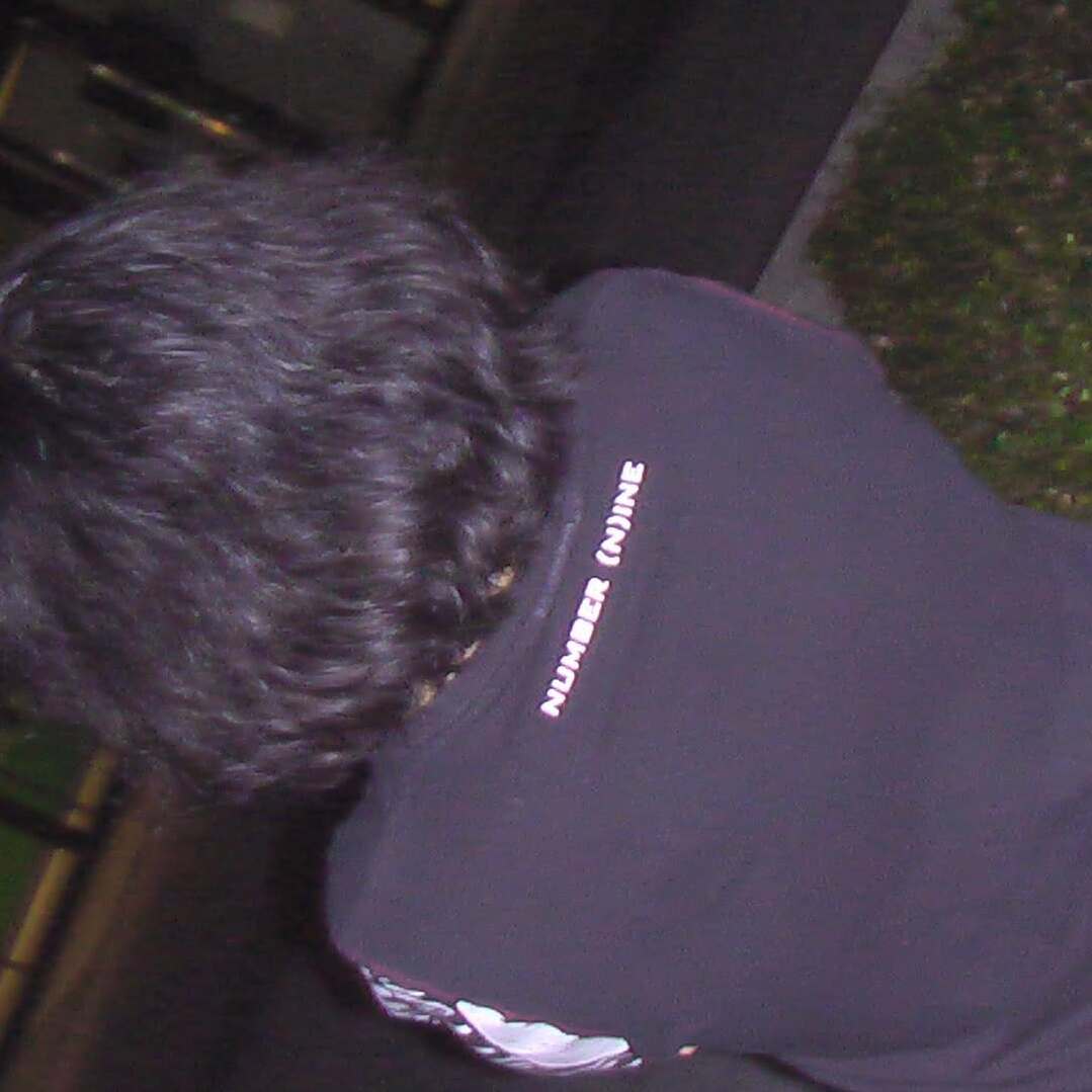 domstupid